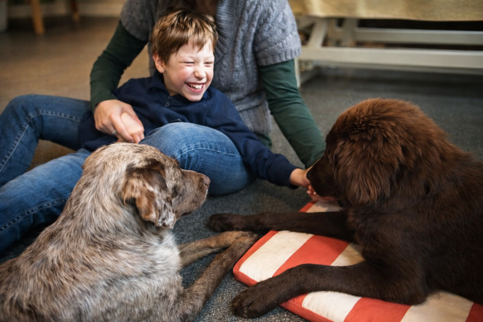 Kind bei der Hundetherapie